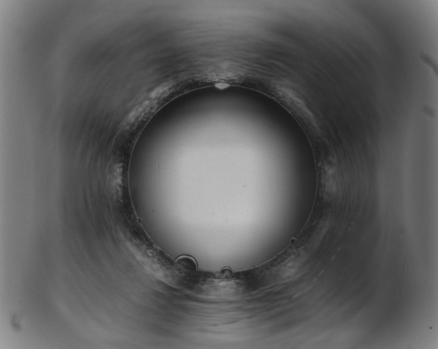 X0000103430260200809121336