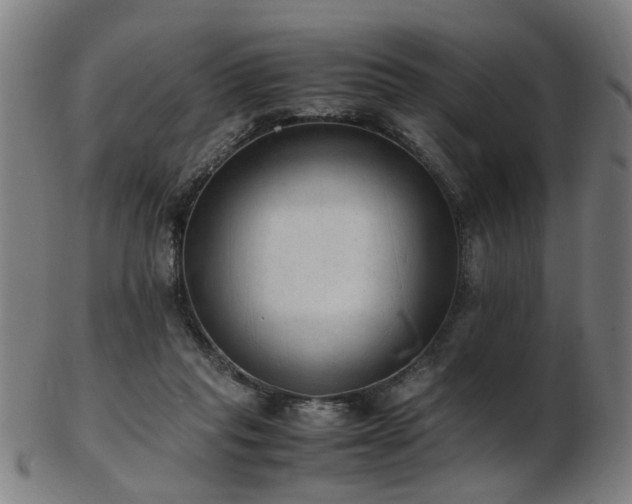 X0000103430261200809121336