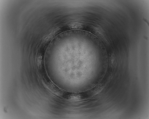 X0000103430263200809121336