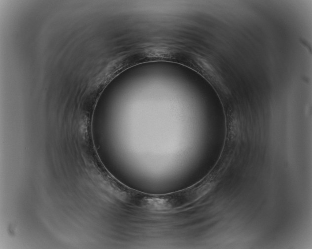 X0000103430265200809121336