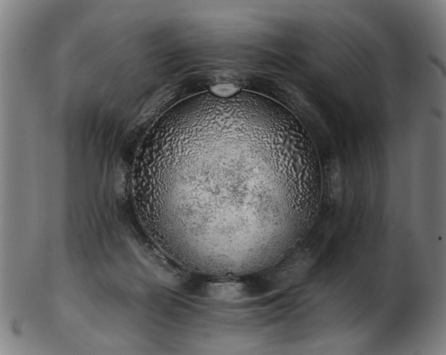 X0000103430266200809121336
