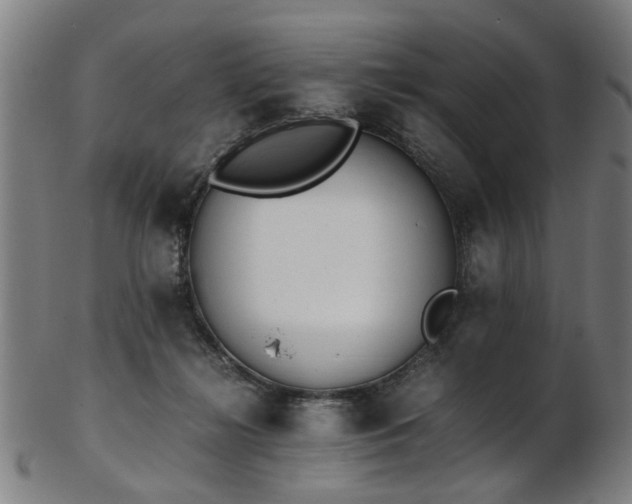 X0000103430268200809121336