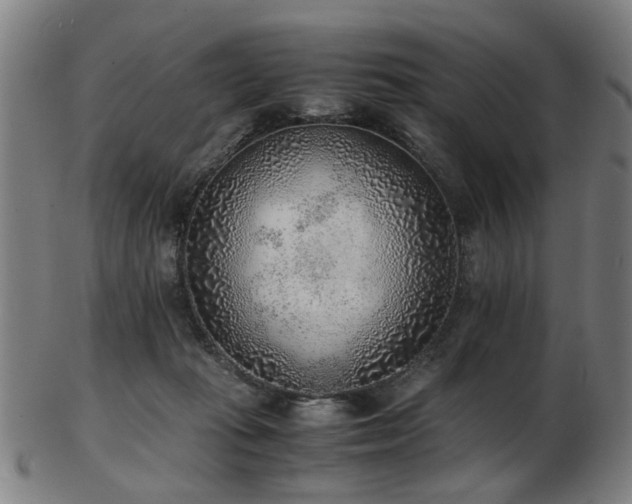 X0000103430269200809121336