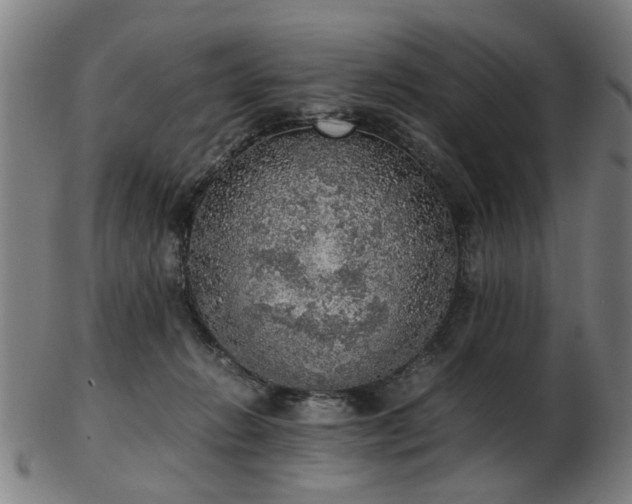 X0000103430270200809121336