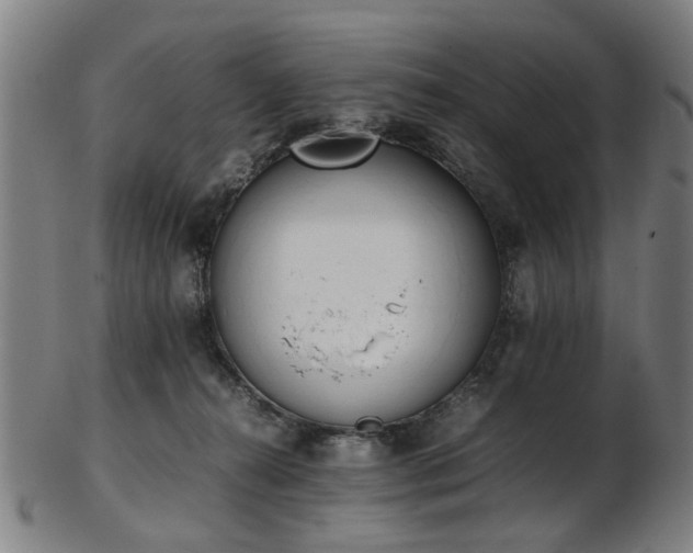 X0000103430272200809121336