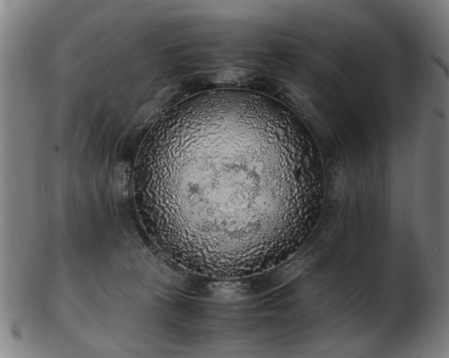 X0000103430273200809121336