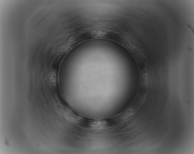 X0000103430274200809121336