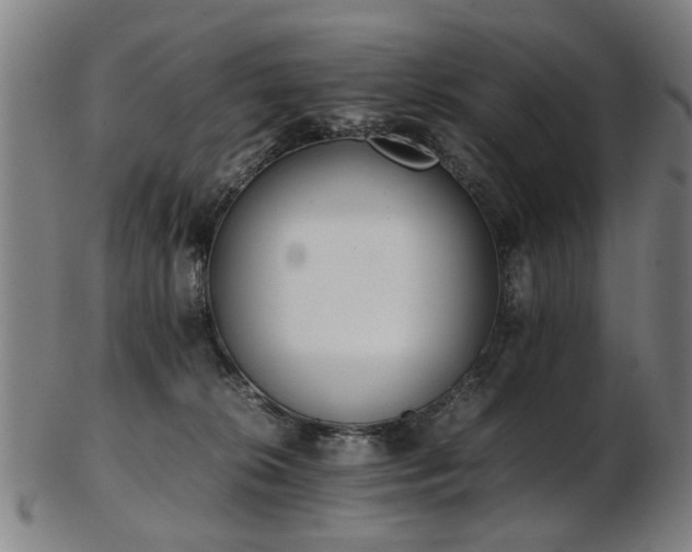 X0000103430276200809121336
