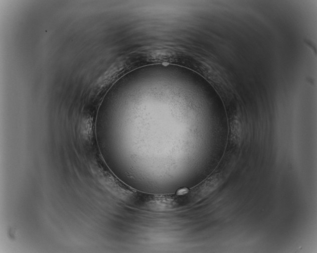 X0000103430278200809121336