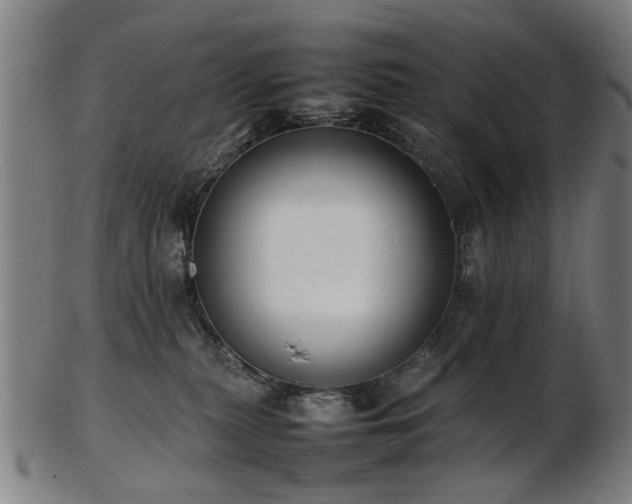 X0000103430279200809121336