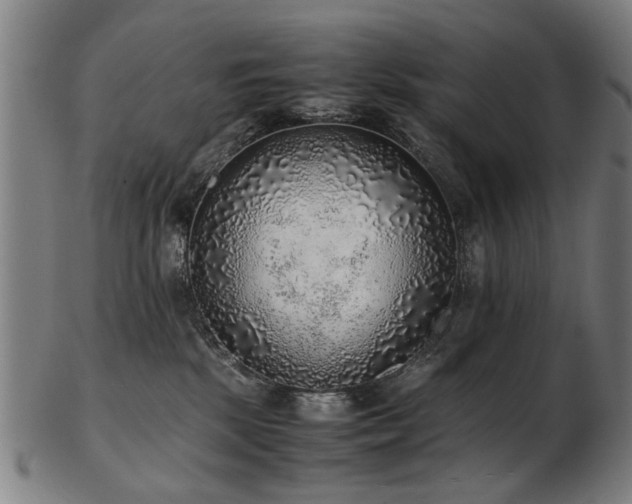 X0000103430281200809121336