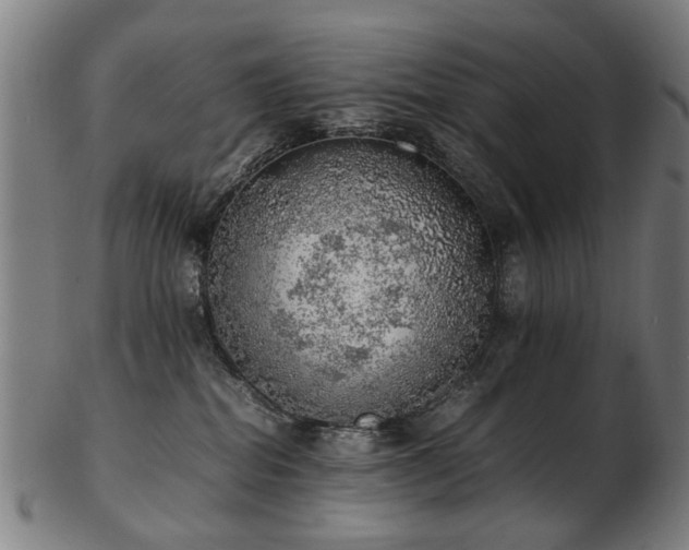 X0000103430282200809121336