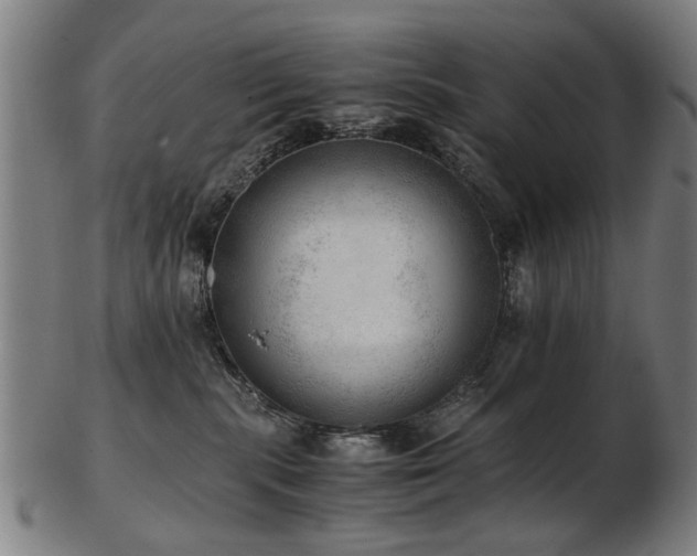 X0000103430283200809121336