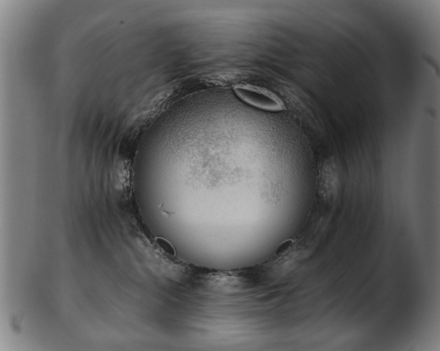 X0000103430284200809121336