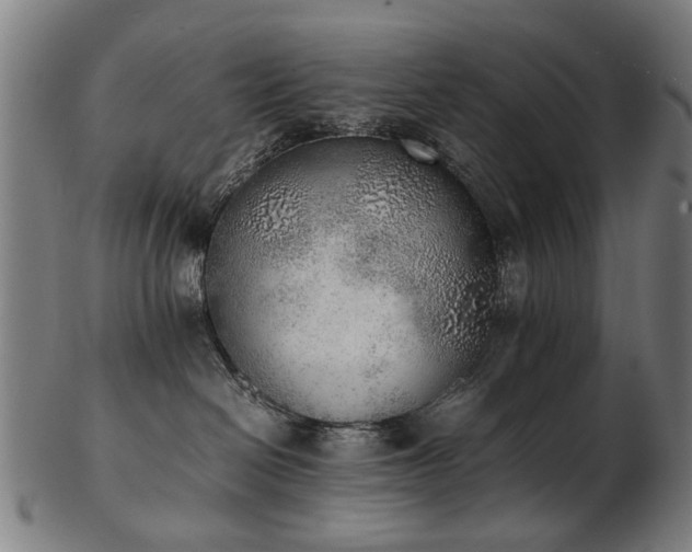 X0000103430286200809121336
