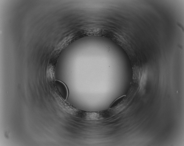 X0000103430287200809121336