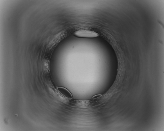 X0000103430288200809121336