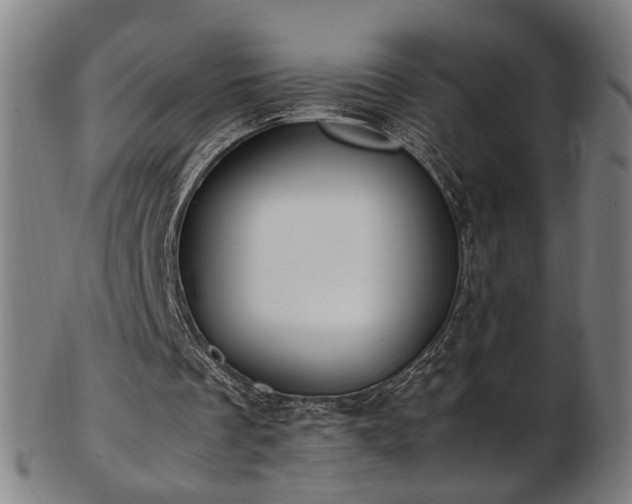 X0000103430289200809121336