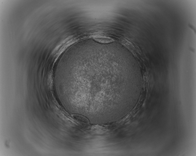 X0000103430290200809121336