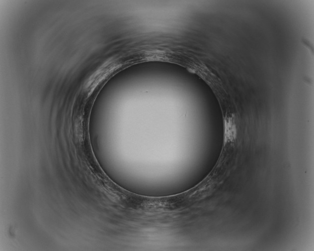 X0000103430291200809121336