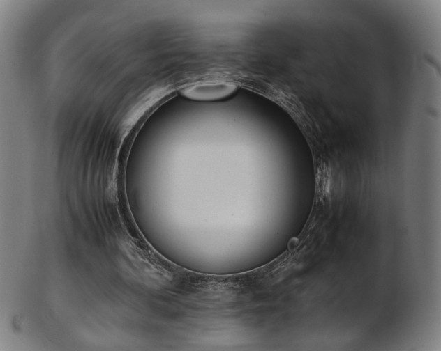 X0000103430292200809121336