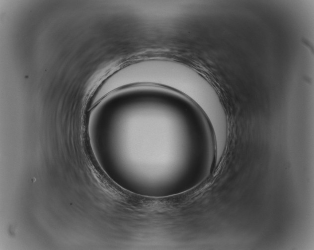 X0000103430293200809121336