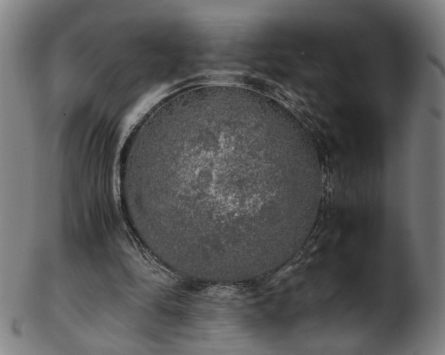 X0000103430294200809121336