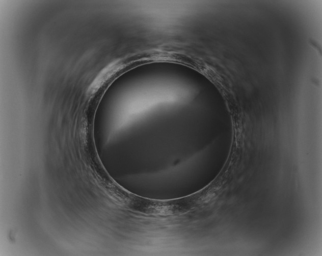 X0000103430295200809121336