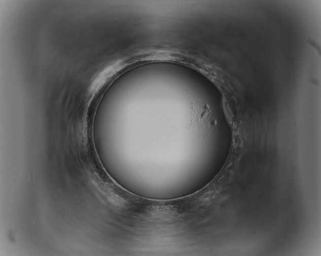 X0000103430296200809121336