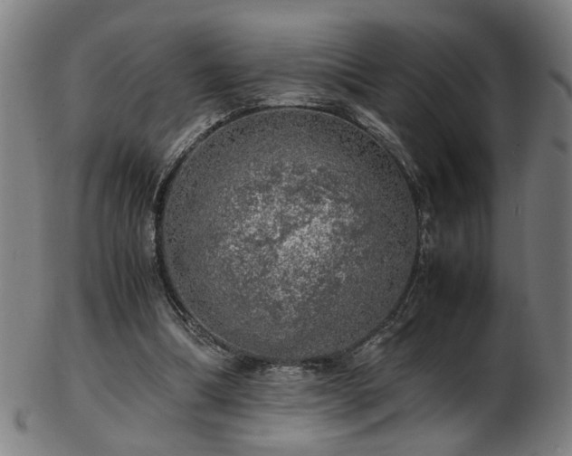 X0000103430298200809121336