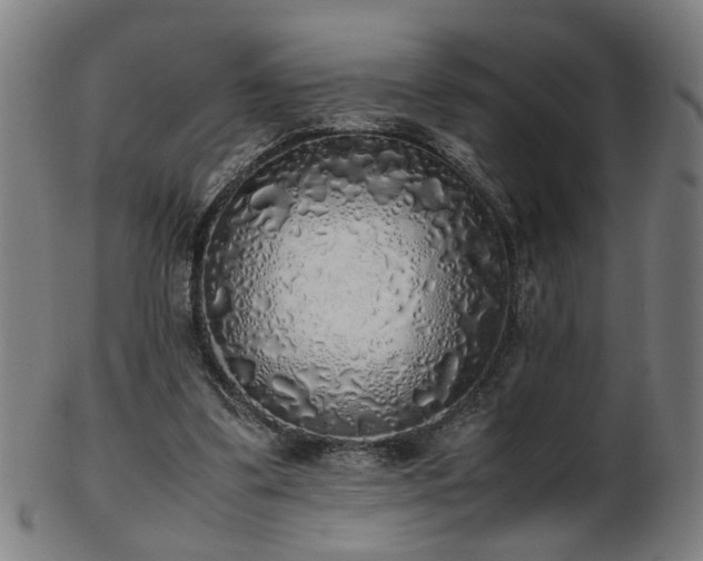 X0000103430299200809121336