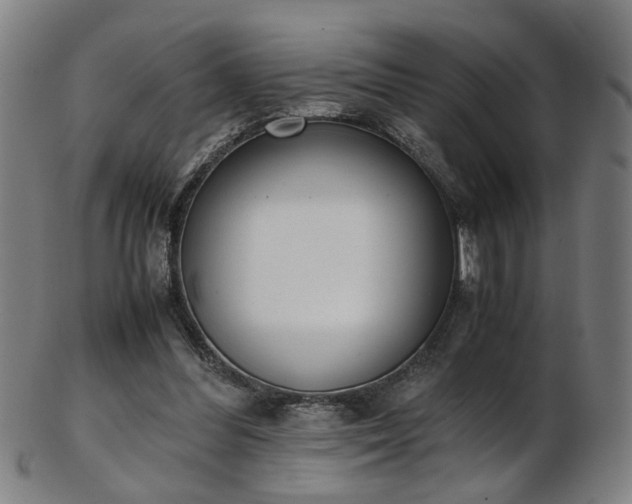 X0000103430300200809121336
