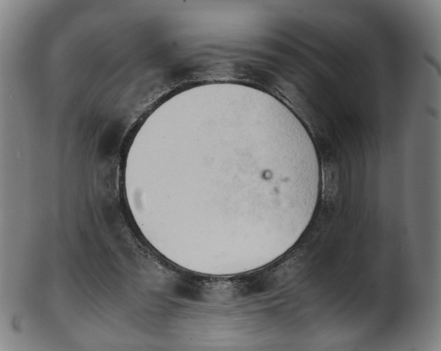 X0000103430301200809121336