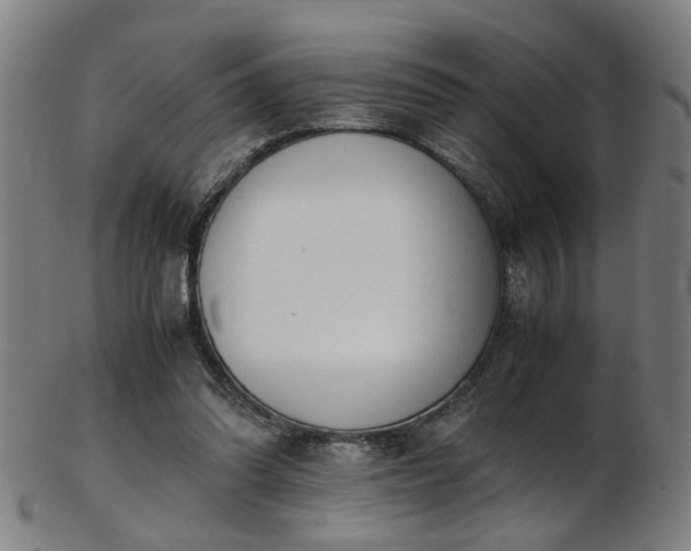 X0000103430302200809121335
