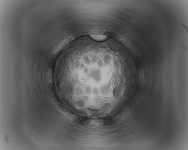 X0000103430303200809121335
