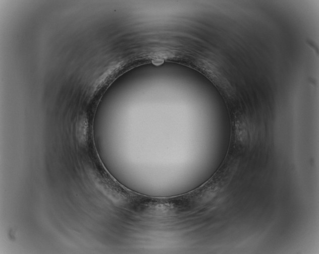 X0000103430304200809121335
