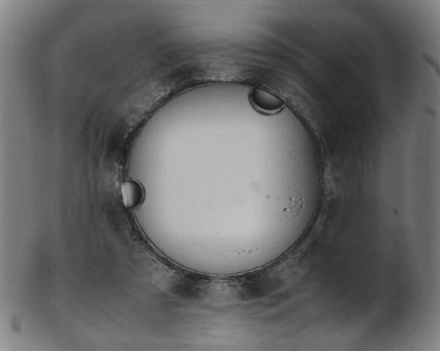 X0000103430305200809121335