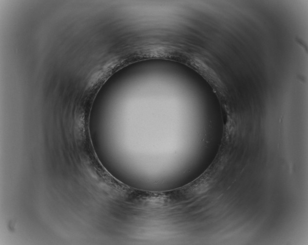 X0000103430306200809121335
