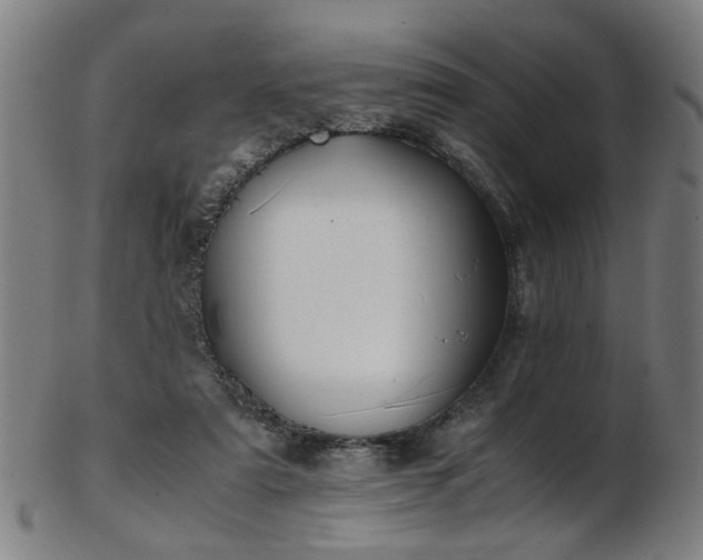 X0000103430307200809121335