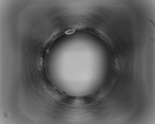 X0000103430308200809121335