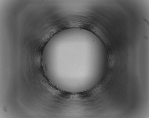X0000103430309200809121335