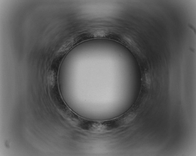 X0000103430311200809121335