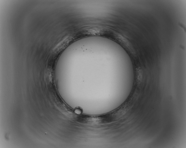 X0000103430313200809121335
