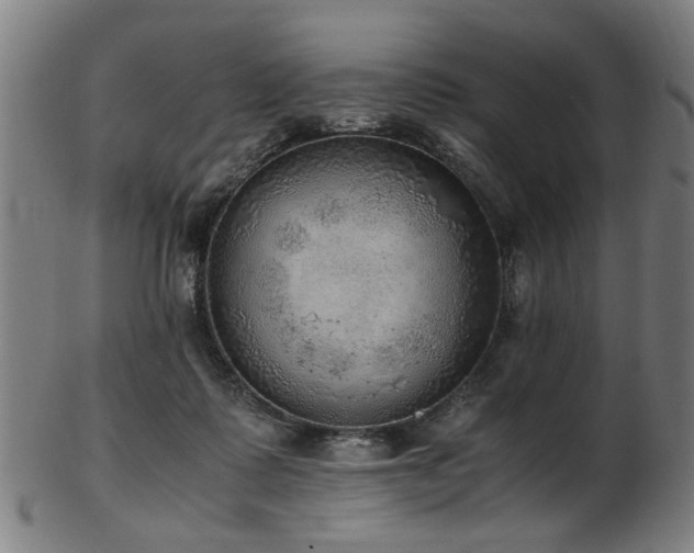 X0000103430315200809121335