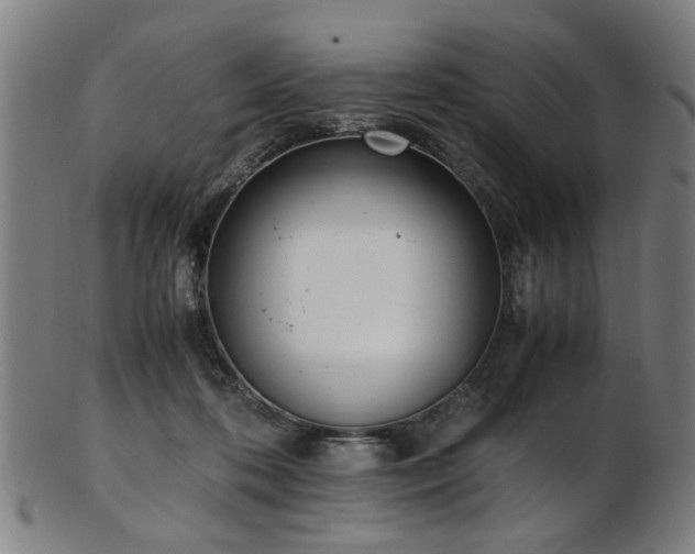 X0000103430316200809121335