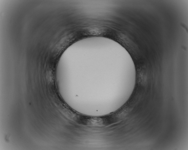X0000103430317200809121335