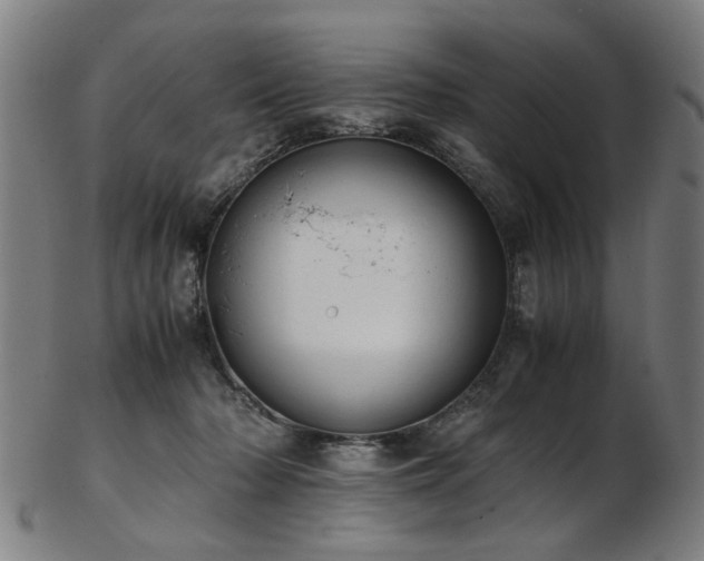 X0000103430318200809121335