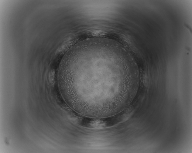 X0000103430319200809121335