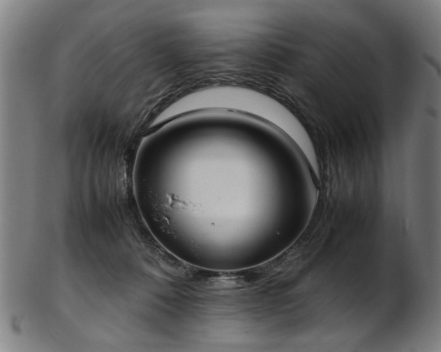 X0000103430320200809121335