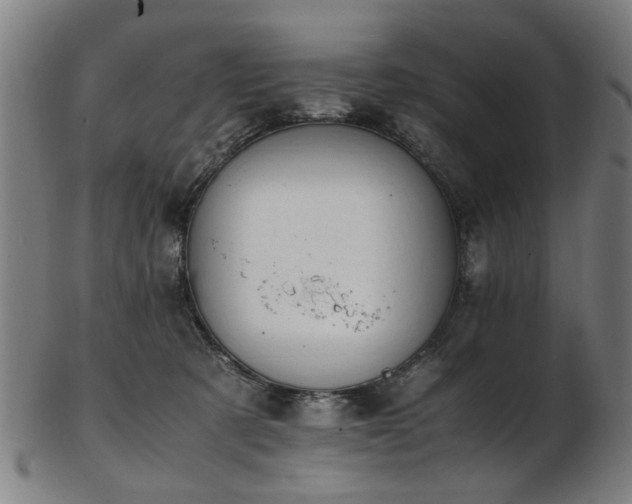 X0000103430321200809121335